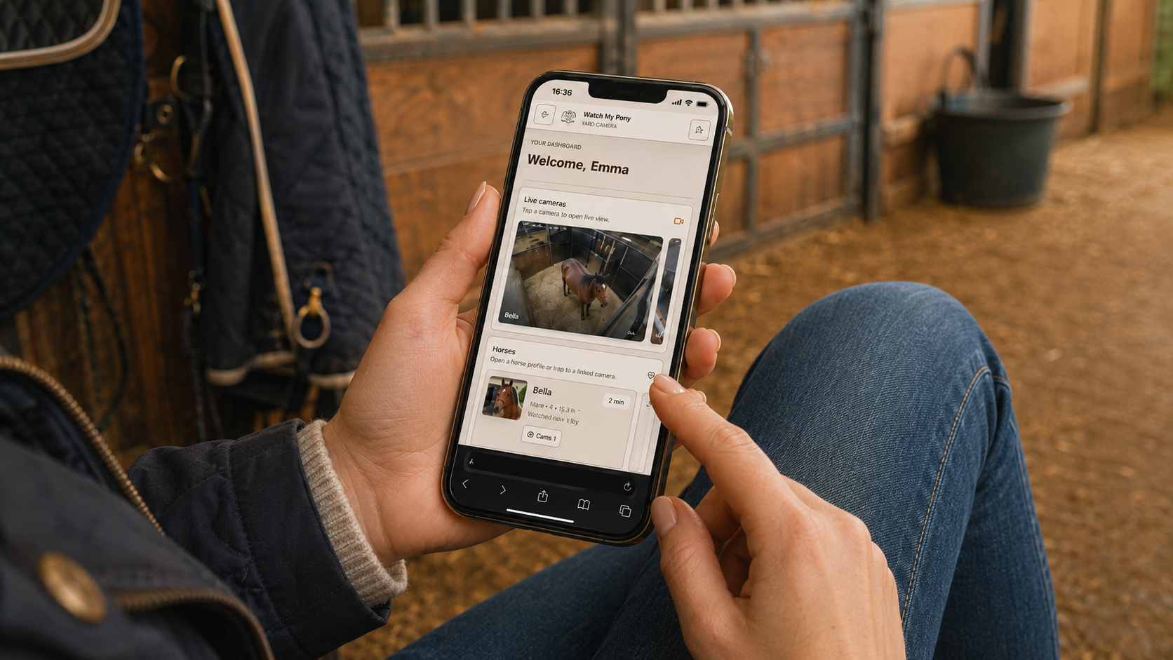 Live horse camera view in the app